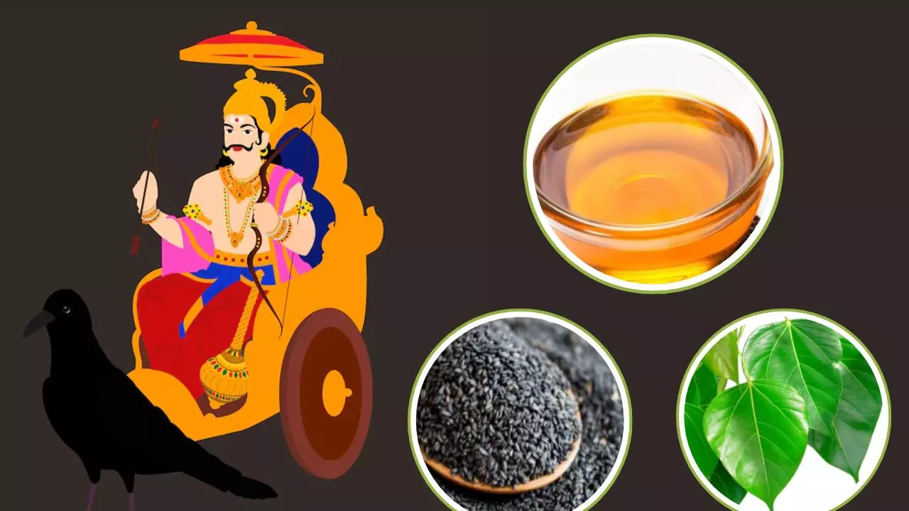 शनिदेव को ये पांच चीजें होती हैं बहुत ही प्रिय, अर्पित करने पर दूर करते हैं सारे कष्ट शनिदेव को ये पांच चीजें होती हैं बहुत ही प्रिय, अर्पित करने पर दूर करते हैं सारे कष्ट