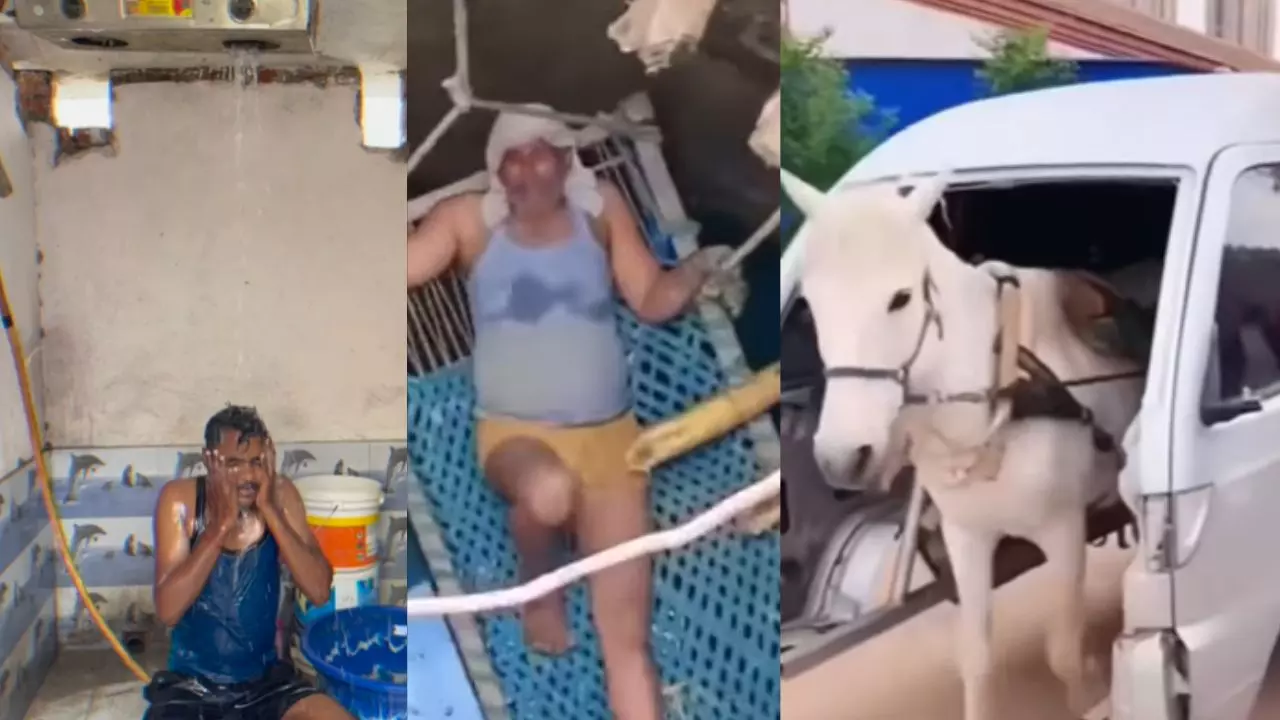 Aaj ka Viral: नहाने, खाने, सोने के पांच वीडियो कर देंगे परेशान, खुद को नहीं रोक पाओगे बिना हंसे