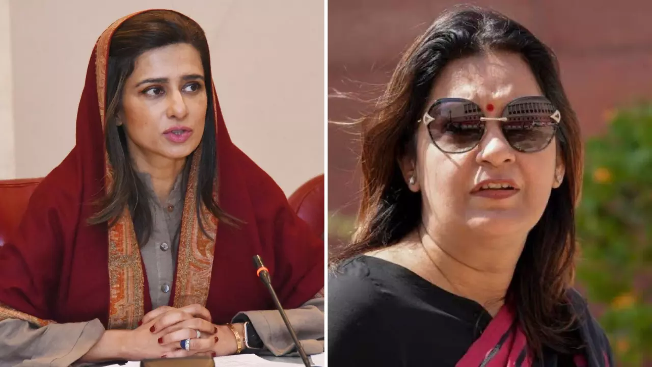 बच्चा बच्चा बताएगा कौन गलत है.... हिना रब्बानी को आलोचना करना पड़ा भारी, प्रियंका चतुर्वेदी ने दिया करारा जवाब