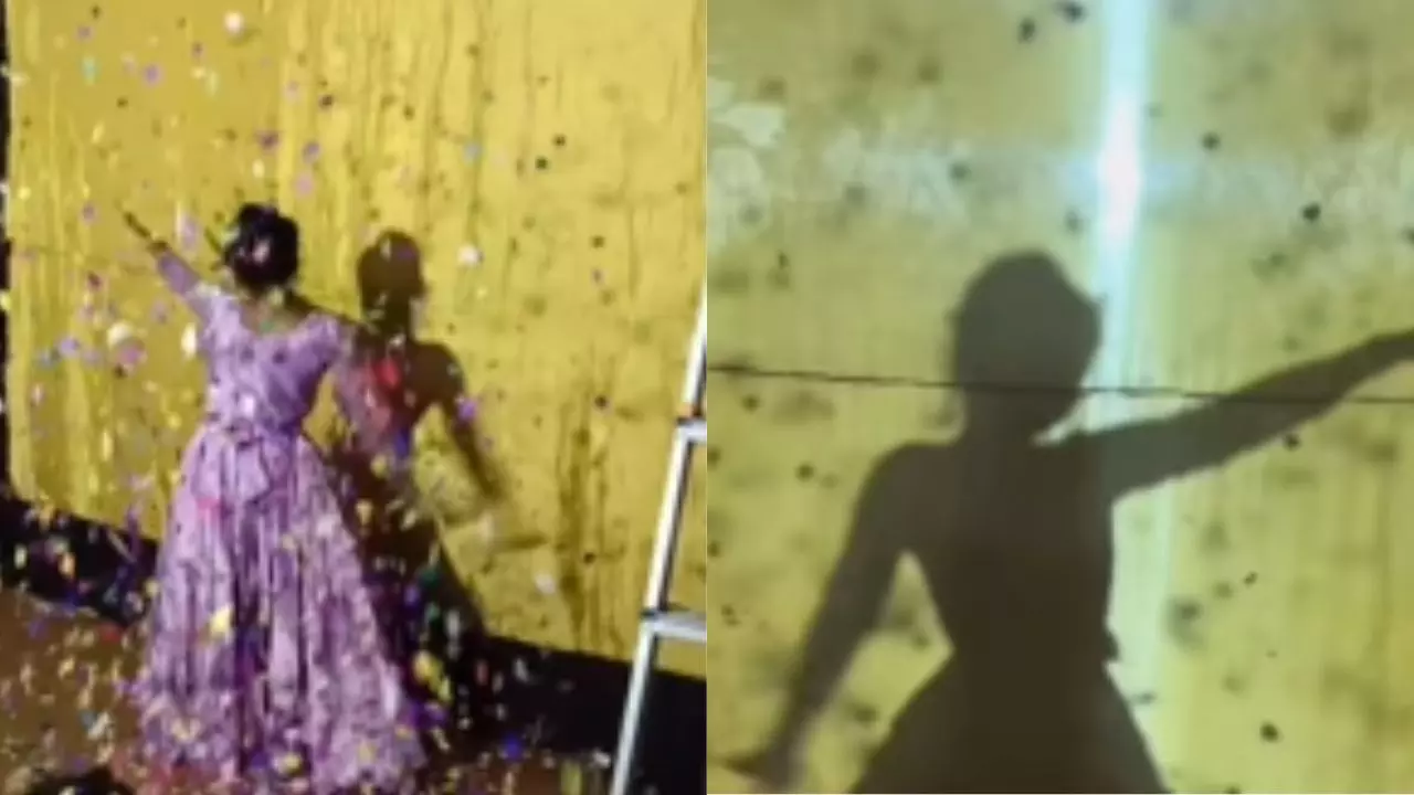 A.R रहमान के तमिल गाने Poovukkul पर कपल का खूबसूरत Shadow Dance वायरल | VIDEO