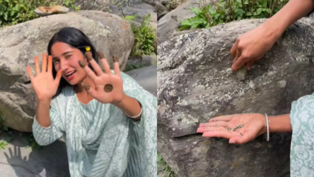 पत्थर की काई से बनाई मेहंदी, लड़की का वीडियो हो गया वायरल, मिले मिलियन्स में व्यूज़