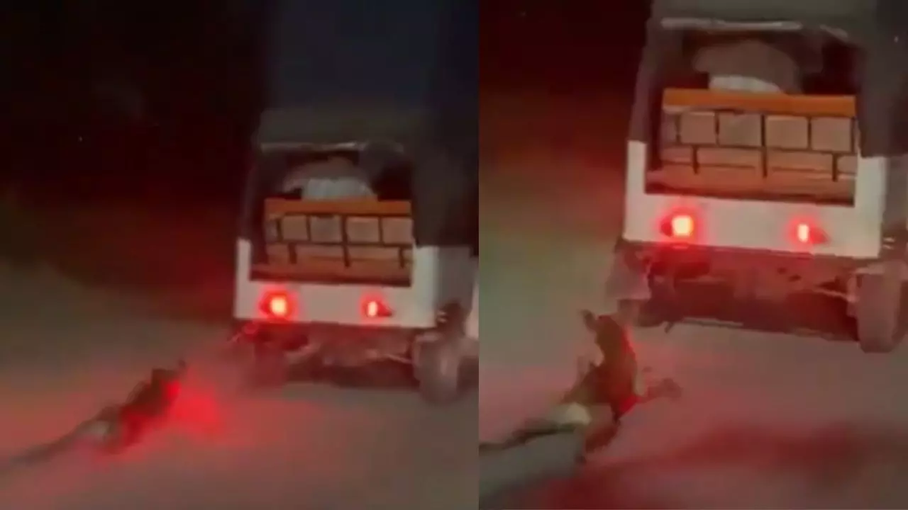 दिल दहला देने वाला मंजर! कुत्ते को ऑटो से बांधकर सड़क पर घसीटता रहा युवक, Video Viral होने पर पुलिस ने की ये कार्रवाई दिल दहला देने वाला मंजर! कुत्ते को ऑटो से बांधकर सड़क पर घसीटता रहा युवक, Video Viral होने पर पुलिस ने की ये कार्रवाई