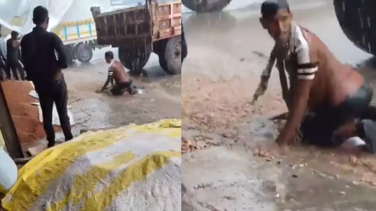 बारिश ने किसान की मेहनत पर फेरा पानी, मूंगफली को हाथों से बटोरते नजर आया शख्स, केंद्रीय मंत्री भी हुए इमोशनल | VIDEO बारिश ने किसान की मेहनत पर फेरा पानी, मूंगफली को हाथों से बटोरते नजर आया शख्स, केंद्रीय मंत्री भी हुए इमोशनल | VIDEO