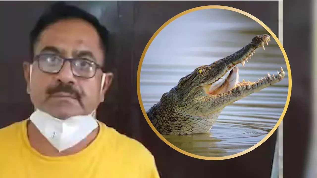टैक्सी ड्राइवरों की हत्या कर मगरमच्छों को देता था लाशों की दावत, पुलिस ने ऐसे भेजा सलाखों के पीछे
