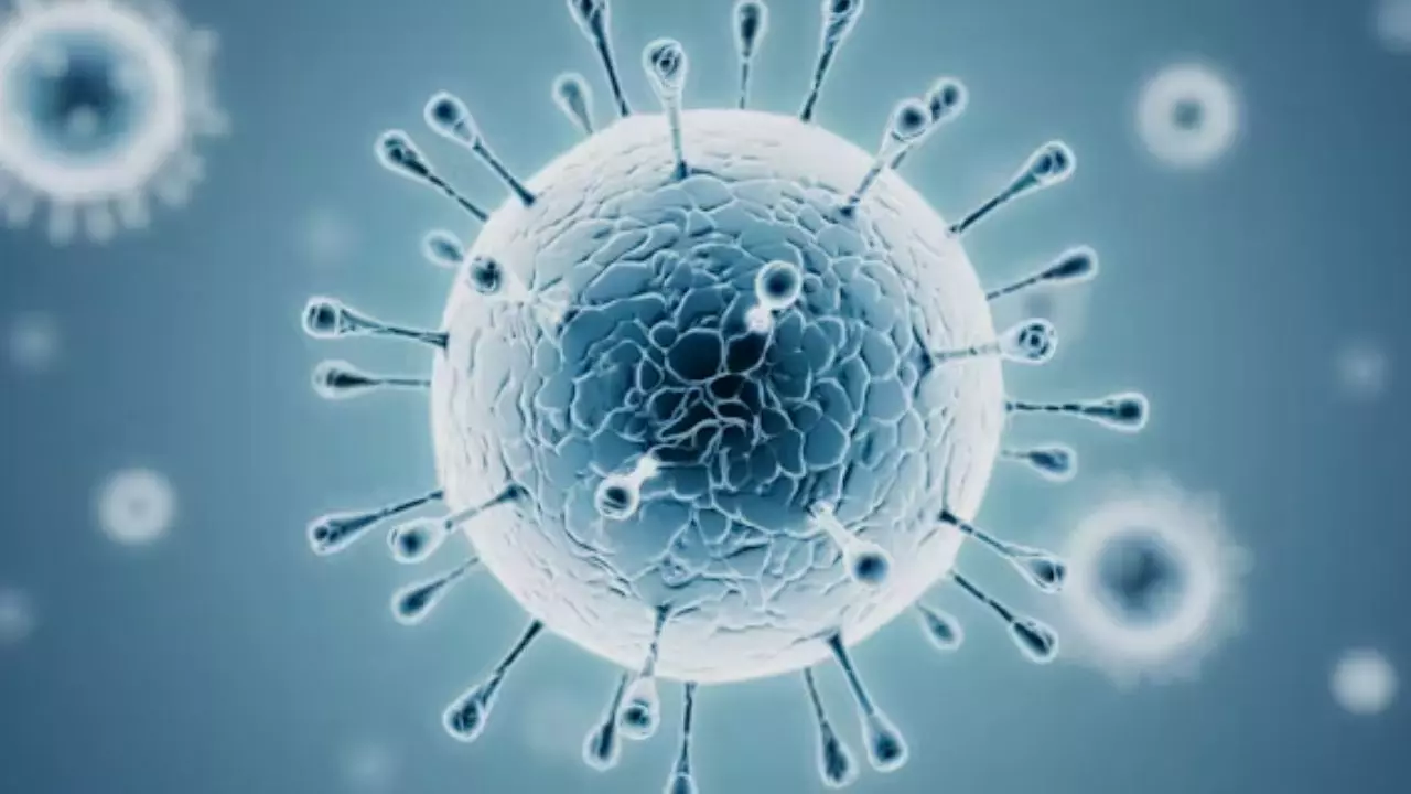 क्या वैक्सीन का असर खत्म इसलिए फिर से Active हो गया Covid 19? महाराष्ट्र से दिल्ली तक कोरोना का कहर