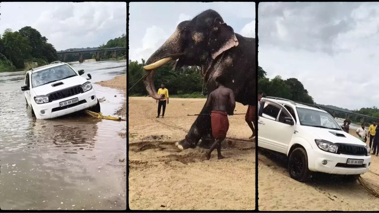 हाथी की ताकत के आगे सब फेल! नदी के बीच में फंसी SUV को गजराज ने निकाला बाहर | VIDEO