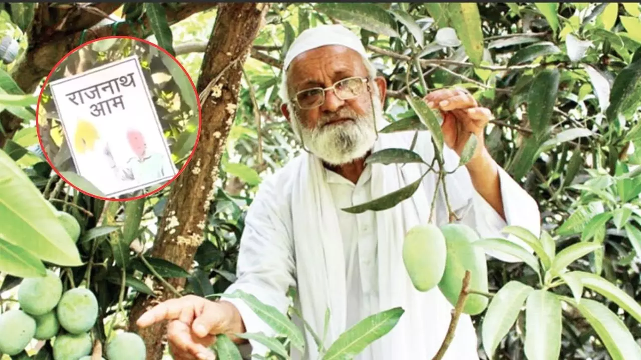 राजनाथ मैंगो चखा क्‍या आपने? नाम रखने के पीछे का किस्‍सा सुन आप भी कहेंगे वाह...