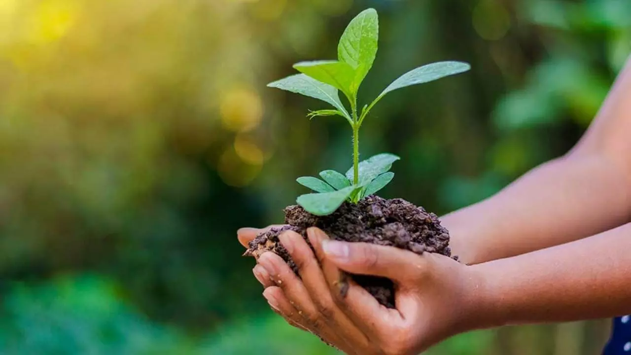World Environment Day: धरती बचानी है तो बातों से नहीं, इन 15 कामों से होगा बदलाव; लें जिम्मेदारी का संकल्प