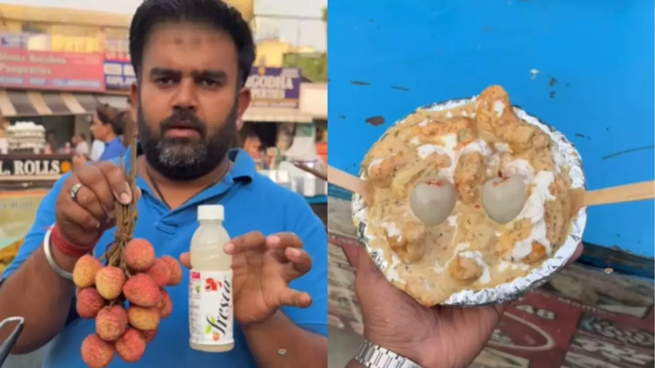 मोमो के साथ ऐसा जुर्म क्यों? लीची ग्रेवी मोमोज रेसिपी वायरल, भड़के यूजर्स ने कहा- गरुड़ पुराण में इसके लिए अलग सजा है