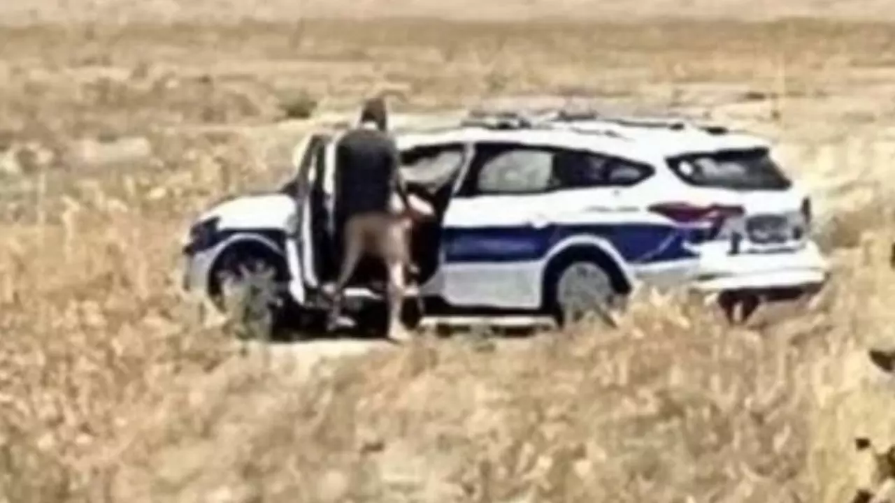खुले मैदान में महिला अफसर के साथ कार में ही सेक्‍स करने लगा पुलिसकर्मी, Video Viral
