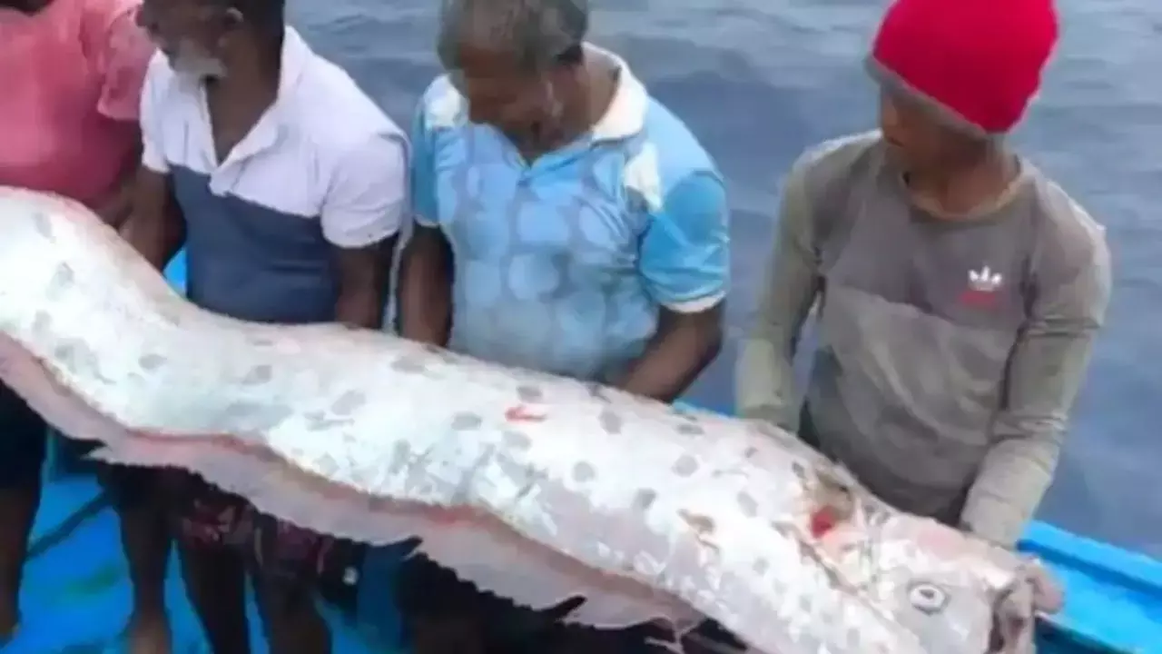 क्या भारत में आएगी प्रलय... तमिलनाडु तट पर दिखी Doomsday Fish तो लोगों के उड़े होश, Video Viral
