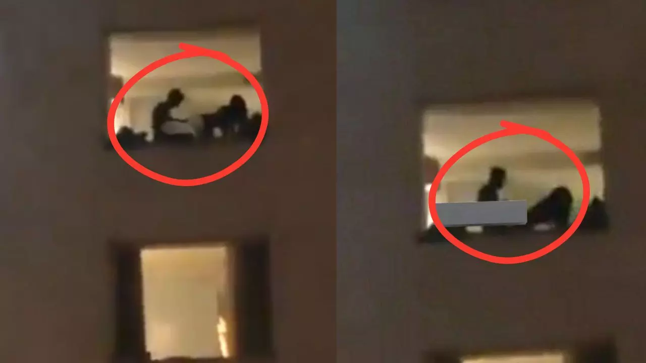 जयपुर के होटल में कपल के सेक्स वाले वीडियो पर यूजर्स क्यों बोले- लो फिर हो गया धाकड़ कांड? जयपुर के होटल में कपल के सेक्स वाले वीडियो पर यूजर्स क्यों बोले- लो फिर हो गया धाकड़ कांड?