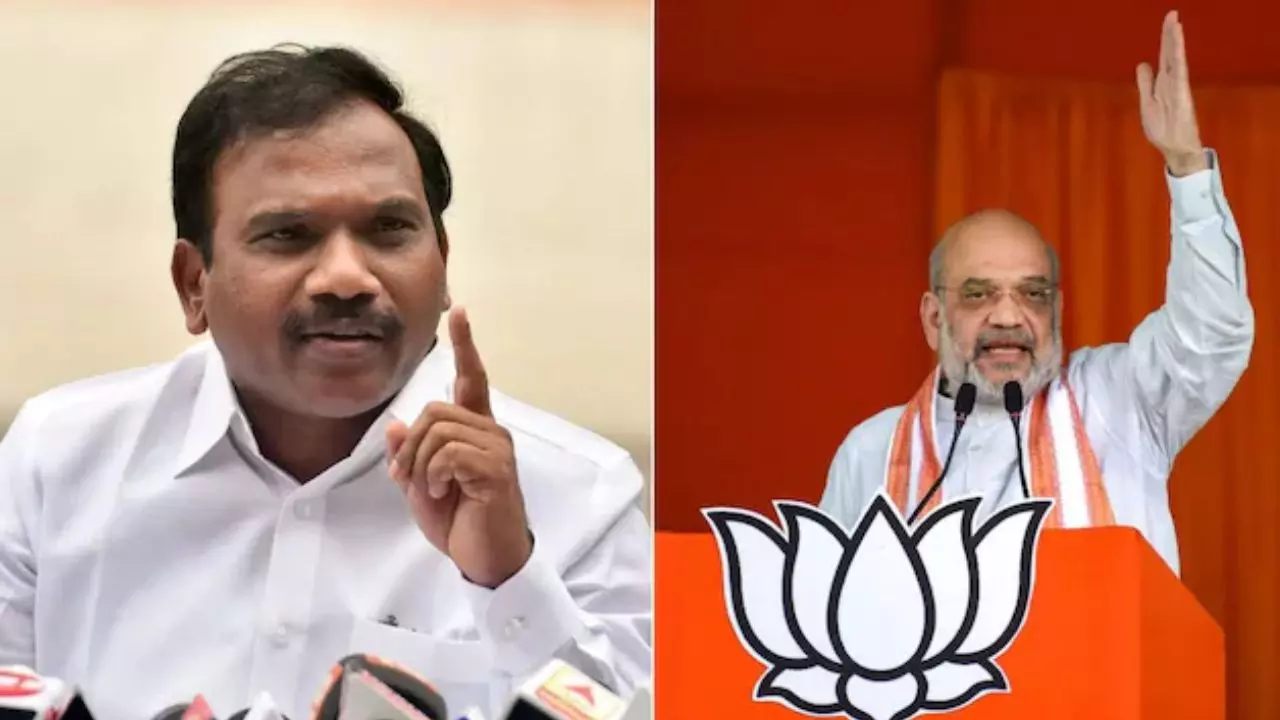 DMK नेता ने अमित शाह को बताया मूर्ख, BJP का Idiot वाला पलटवार; मचा सियासी उबाल