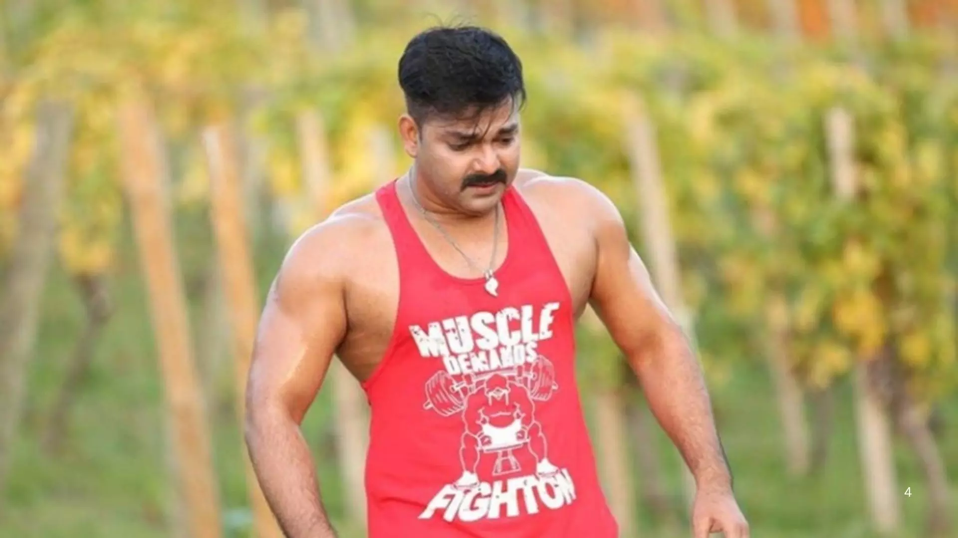 ज्योति सिंह और एक्स गर्लफ्रेंड अक्षरा से भी पहले Pawan Singh का प्यार थी ये महिला, नाम लेते ही छलके थे आंसू ज्योति सिंह और एक्स गर्लफ्रेंड अक्षरा से भी पहले Pawan Singh का प्यार थी ये महिला, नाम लेते ही छलके थे आंसू