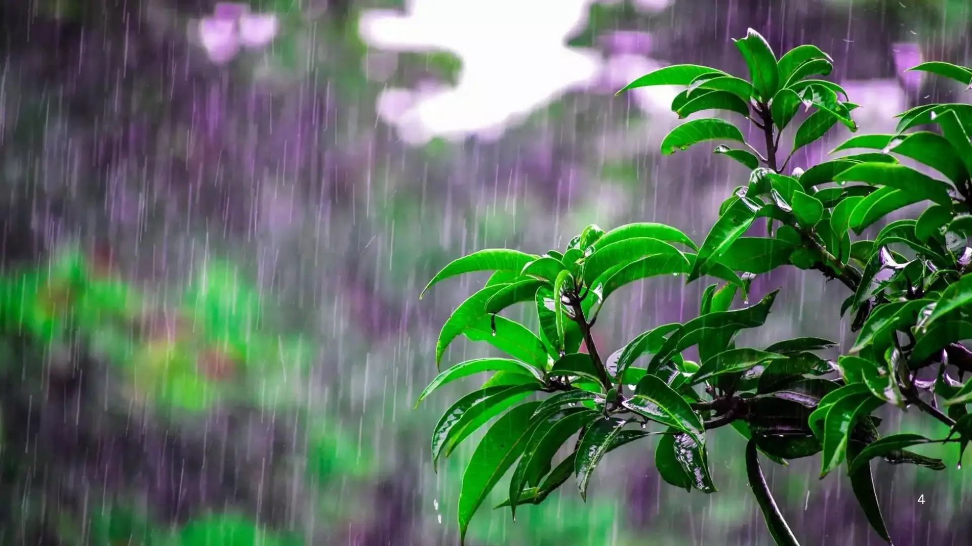 Weather: दिल्ली-एनसीआर को बारिश का इंतजार, राजस्थान में आया मानसून; यूपी-हिमाचल में अलर्ट