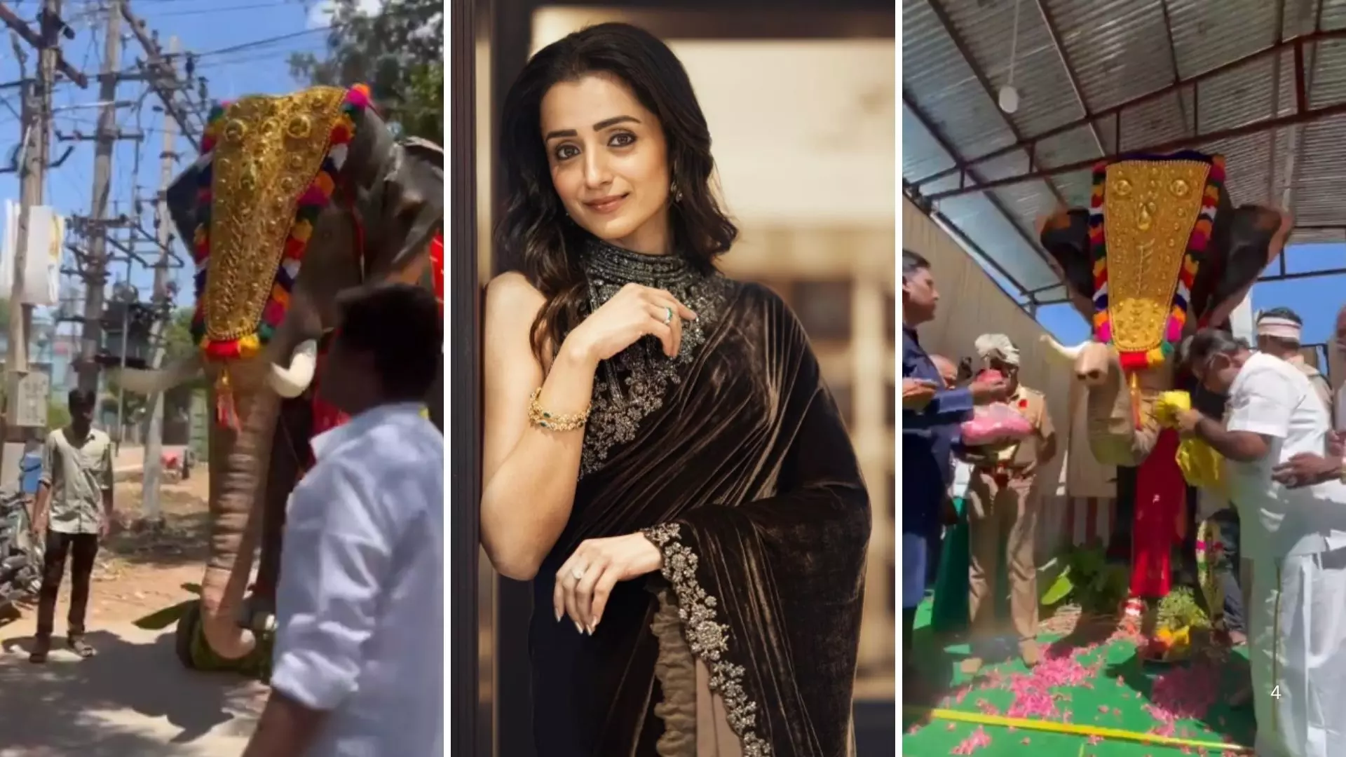 Trisha Krishnan ने मंदिर में किया अनोखा दान, असली हाथियों की जगह दिया मैकेनिकल एलीफेंट Trisha Krishnan ने मंदिर में किया अनोखा दान, असली हाथियों की जगह दिया मैकेनिकल एलीफेंट