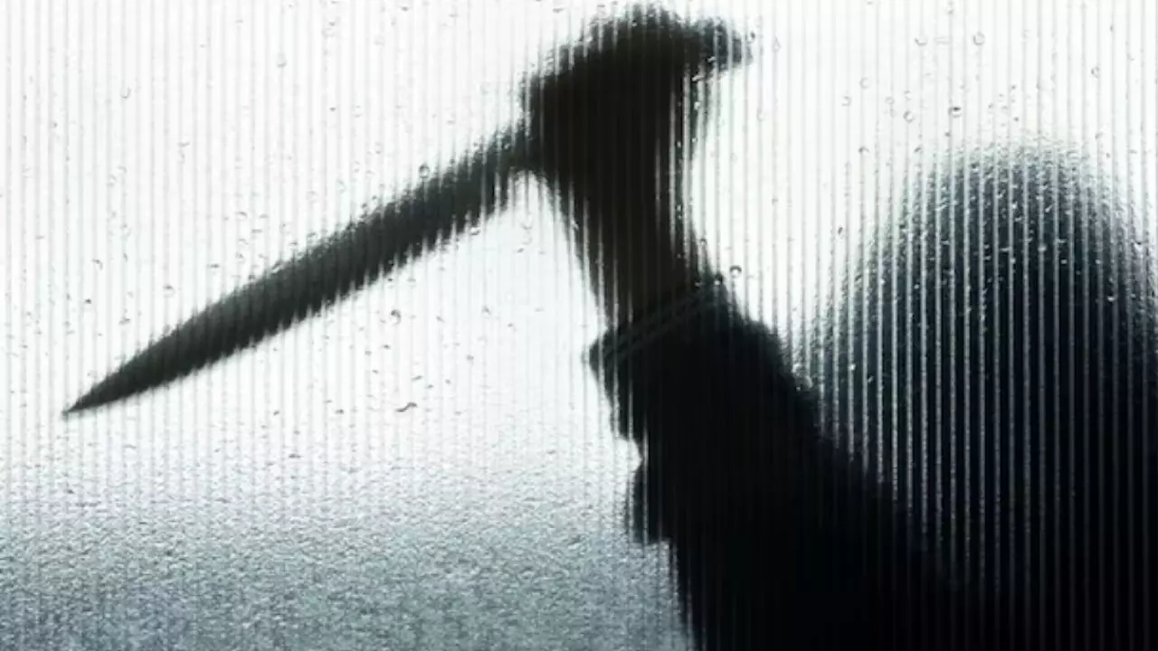 बच्चा बोला बारिश में खेलने दो पापा, सुनते ही पिता ने चाकू से सीने में किया वार बच्चा बोला बारिश में खेलने दो पापा, सुनते ही पिता ने चाकू से सीने में किया वार