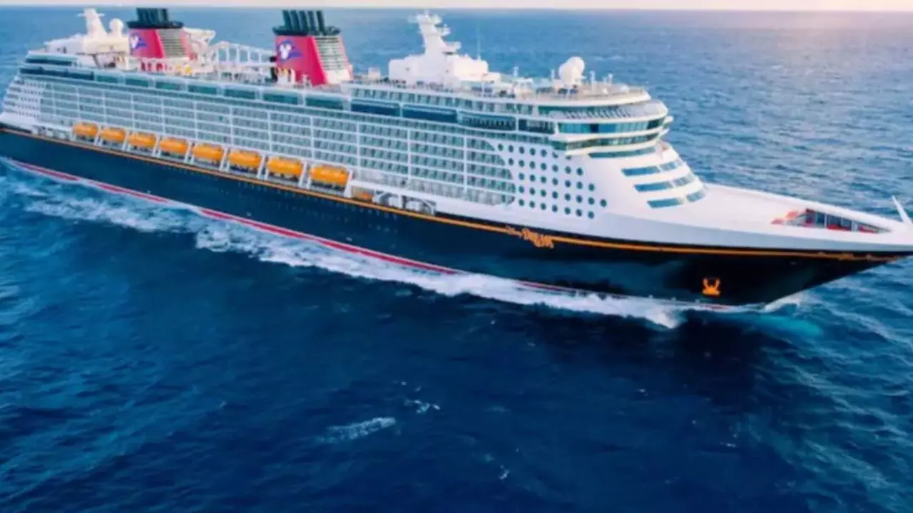 Disney Cruise पर फिल्मी सीन! बेटी को बचाने के लिए छलांग लगाई समंदर में, 20 मिनट तक पानी में तैरते रहा; फिर जो हुआ Disney Cruise पर फिल्मी सीन! बेटी को बचाने के लिए छलांग लगाई समंदर में, 20 मिनट तक पानी में तैरते रहा; फिर जो हुआ