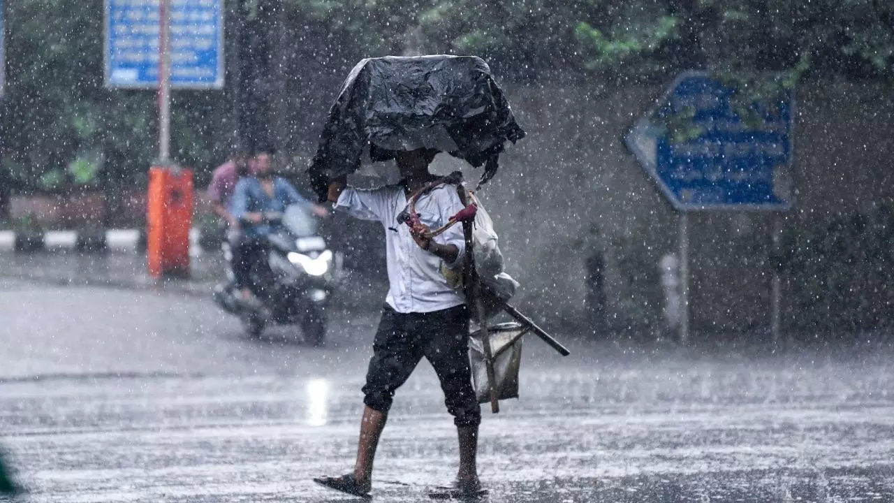 दिल्ली में अगले कुछ दिनों तक जारी रहेगा बारिश का सिलसिला! आज पूरे NCR में बूंदाबांदी का अलर्ट, जानें मौसम का अपडेट दिल्ली में अगले कुछ दिनों तक जारी रहेगा बारिश का सिलसिला! आज पूरे NCR में बूंदाबांदी का अलर्ट, जानें मौसम का अपडेट