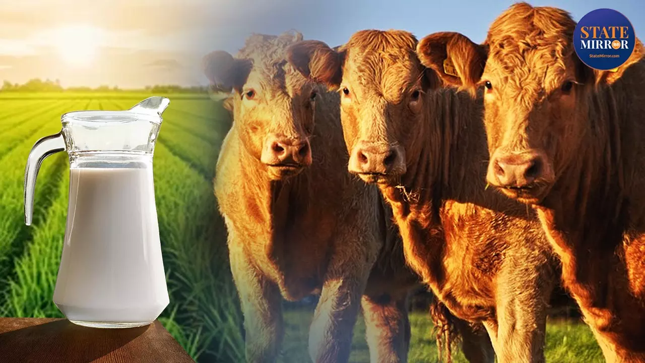क्या होता है Non-Veg Milk जिस पर अटक रही भारत-अमेरिका ट्रेड डील, किसे हो रही परेशानी? क्या होता है Non-Veg Milk जिस पर अटक रही भारत-अमेरिका ट्रेड डील, किसे हो रही परेशानी?