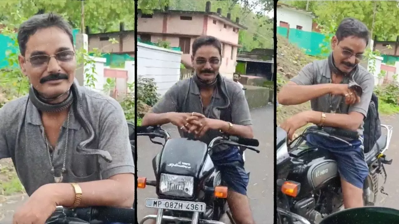 कौन थे सांपों को बचाने वाले दीपक महवार? रील बनाने के चक्कर में गले में लपेटा कोबरा, काटने से हुई मौत | VIDEO कौन थे सांपों को बचाने वाले दीपक महवार? रील बनाने के चक्कर में गले में लपेटा कोबरा, काटने से हुई मौत | VIDEO