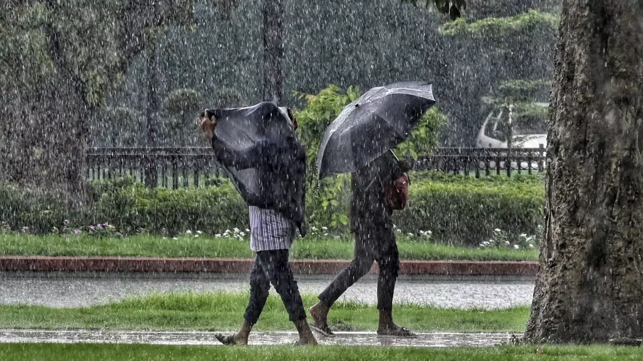 दिल्ली-NCR में गरज के साथ बारिश के आसार, IMD ने इन राज्यों के लिए जारी की चेतावनी