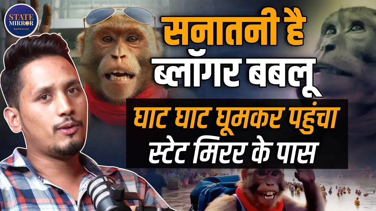 ‘बबलू बंदर’ ने मचाया सोशल मीडिया पर धमाल! जानें कौन है ये देसी व्लॉगर मंकी - Video