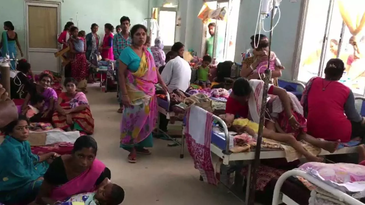 असम में बार-बार क्यों मुसीबत बन रहा  Japanese Encephalitis वायरस? जान लीजिए बचने के तरीके