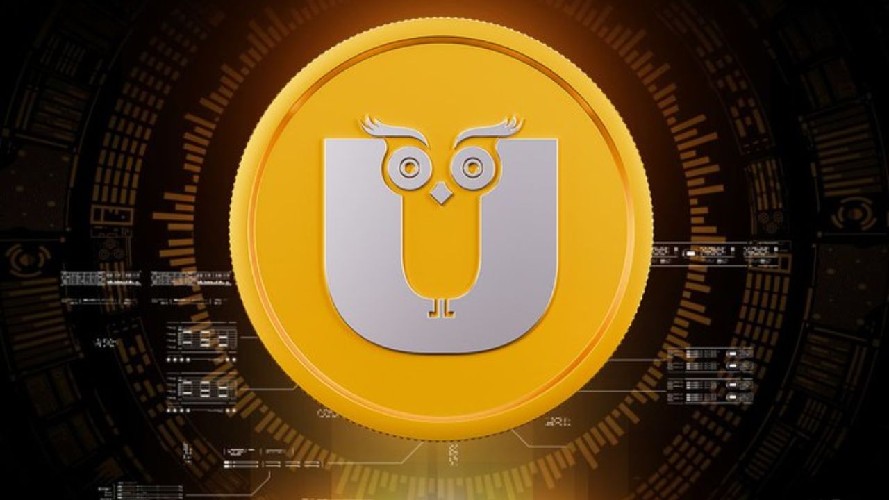 Ulun Coin क्या है Ullu Coin? बैन के बाद अब खरीददार हो रहे परेशान, क्या डूबेगा ...