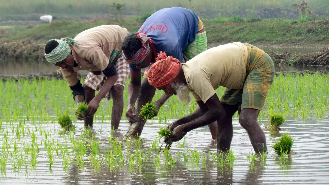 हर महीने की कमाई 25 पैसे! सतना का किसान बना देश का ‘सबसे गरीब आदमी’, सरकारी गलती पर सियासी बवाली