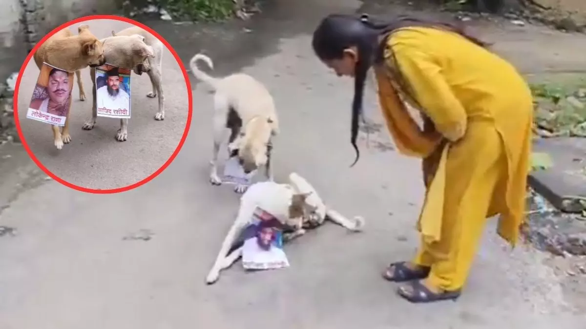 यह कैसा विरोध प्रदर्शन? सपा नेत्री ने योगेंद्र राणा-मौलाना साजिद रशीदी की फोटो कुत्तों के गले में लटकाई, खिलाया बिस्कुट; कही यह बात