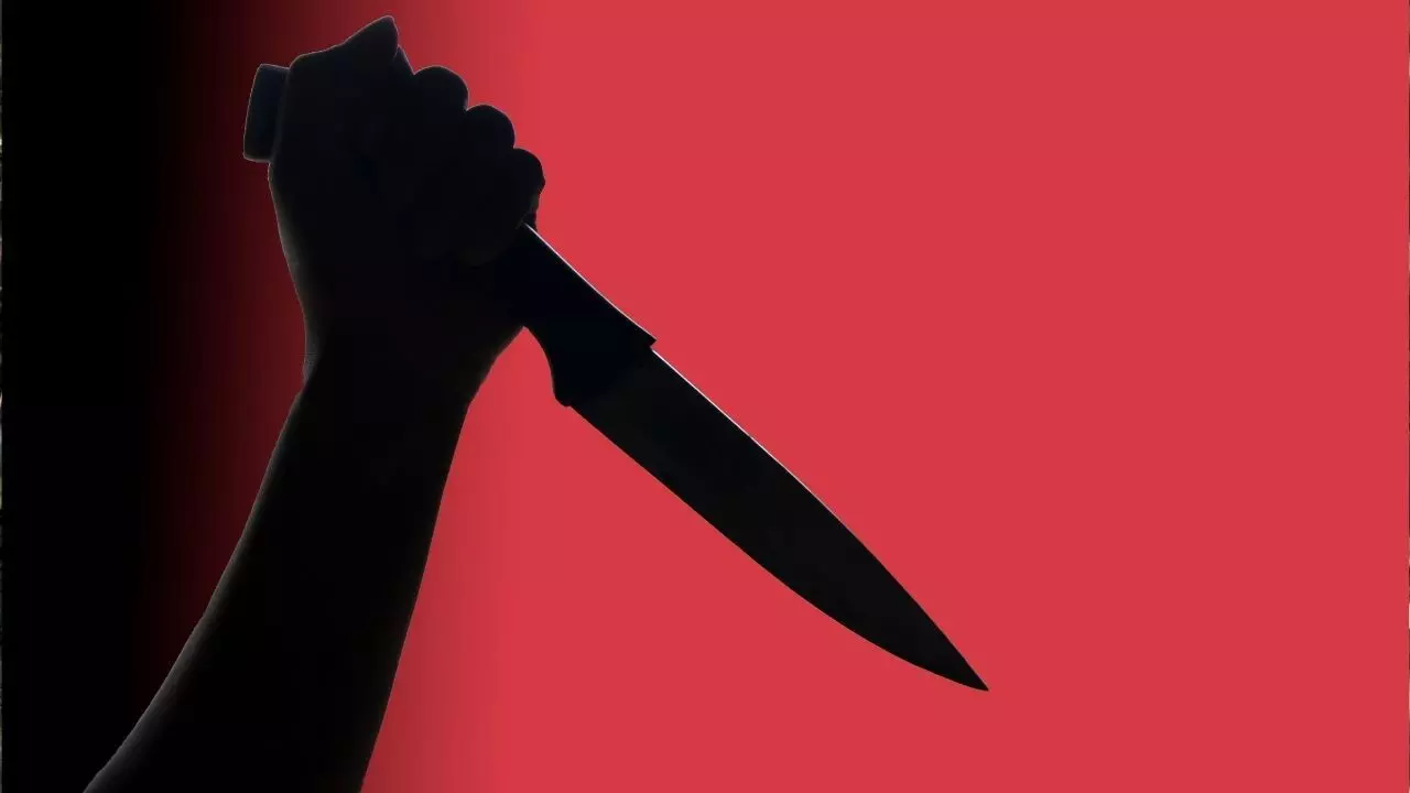 शक, सेक्‍स पावर बढ़ाने की गोली और कत्‍ल... बिस्‍तर पर बीवी ने किया इनकार तो भड़का पति, रेत डाला गला