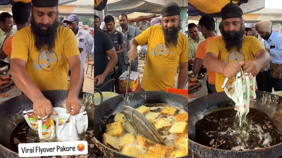 लुधियाना में माइक्रोप्लास्टिक पकौड़े का वीडियो वायरल होने से मचा हड़कंप, स्ट्रीट फूड विक्रेता ने खौलते तेल में डाला प्लास्टिक