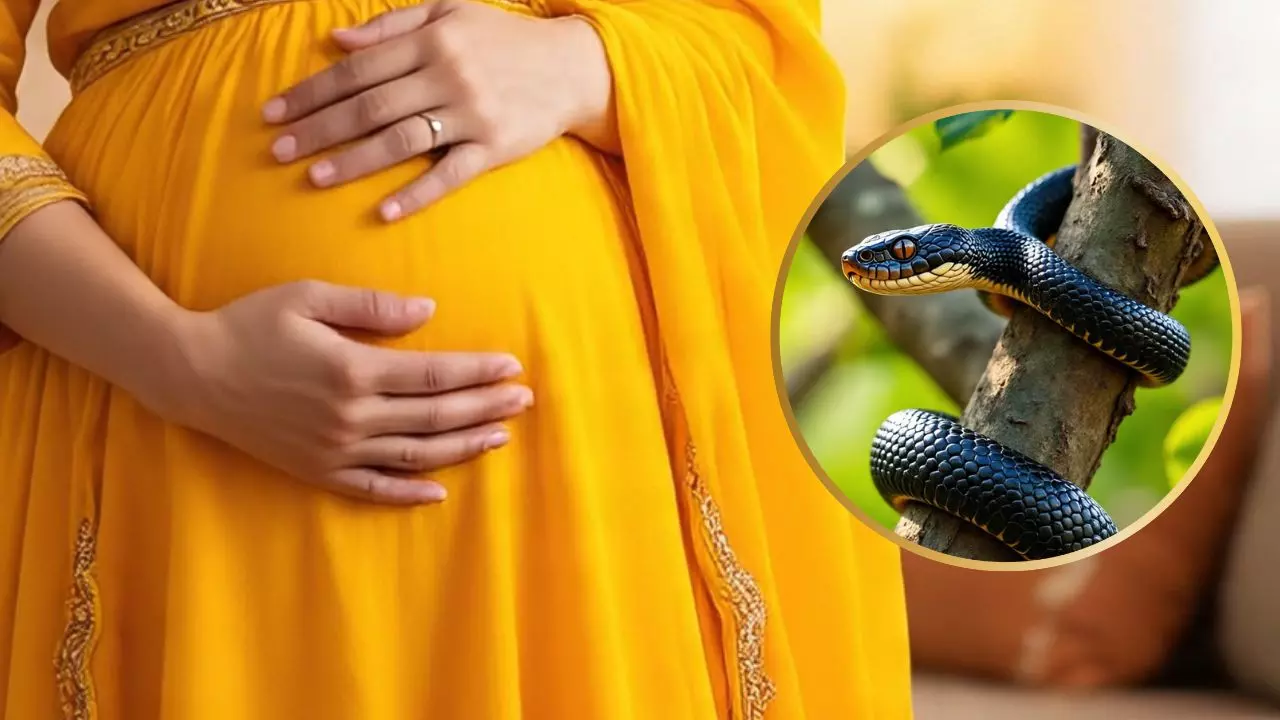 महिला के पेट से निकले सांप के 3 बच्चे, दावे ने उड़ाए होश, असलियत जान नहीं होगा भरोसा महिला के पेट से निकले सांप के 3 बच्चे, दावे ने उड़ाए होश, असलियत जान नहीं होगा भरोसा