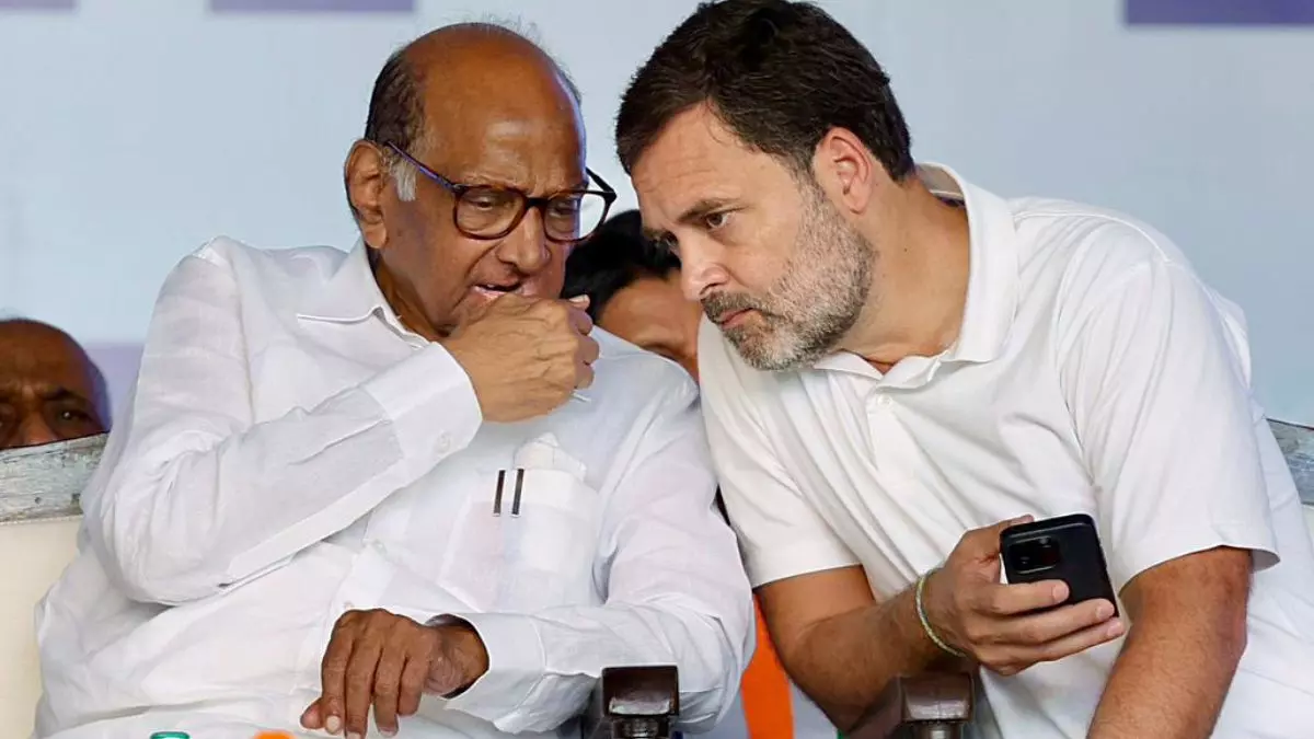 दिल्ली में दो लोगों ने मुझे 160 सीटें जिताने का भरोसा दिया... राहुल के वोट चोरी आरोपों के बीच पवार ने फोड़ा बम, क्या बोली बीजेपी?