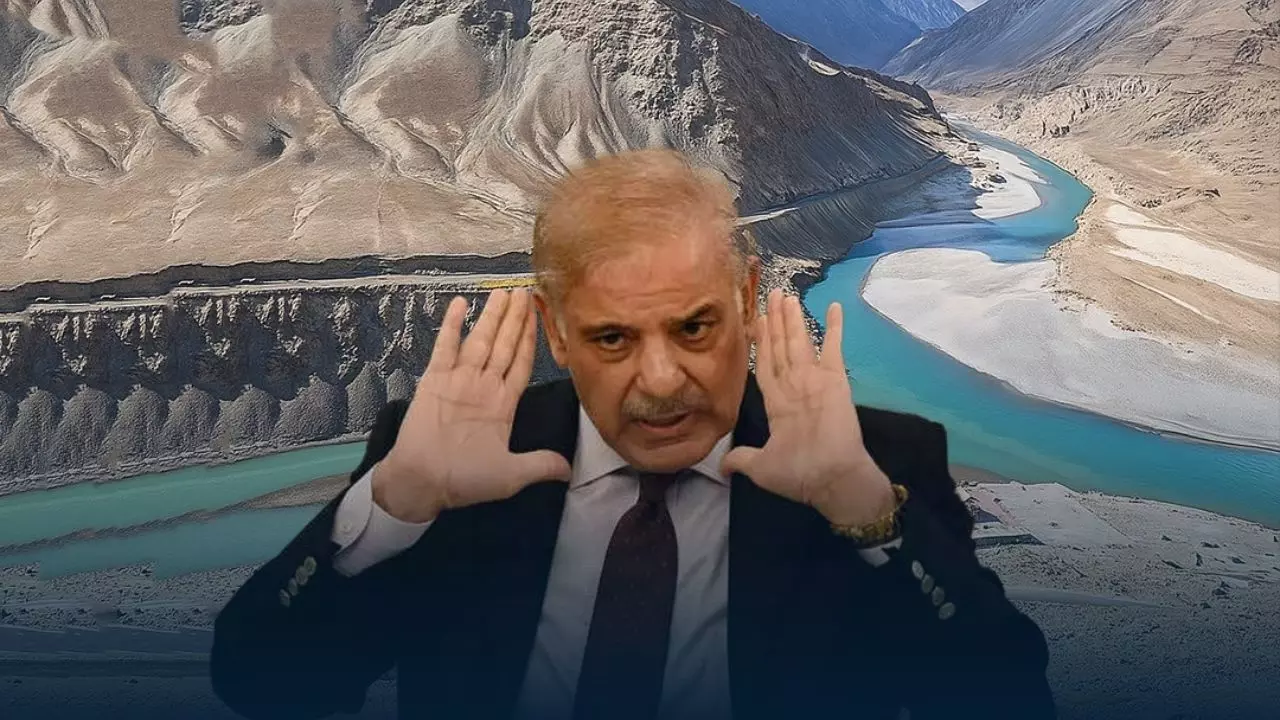 आप पाकिस्तान के पानी की एक बूंद भी नहीं छीन सकते... भुट्टो-मुनीर के बाद गीदड़भभकी देने लगे पीएम शहबाज शरीफ | Video