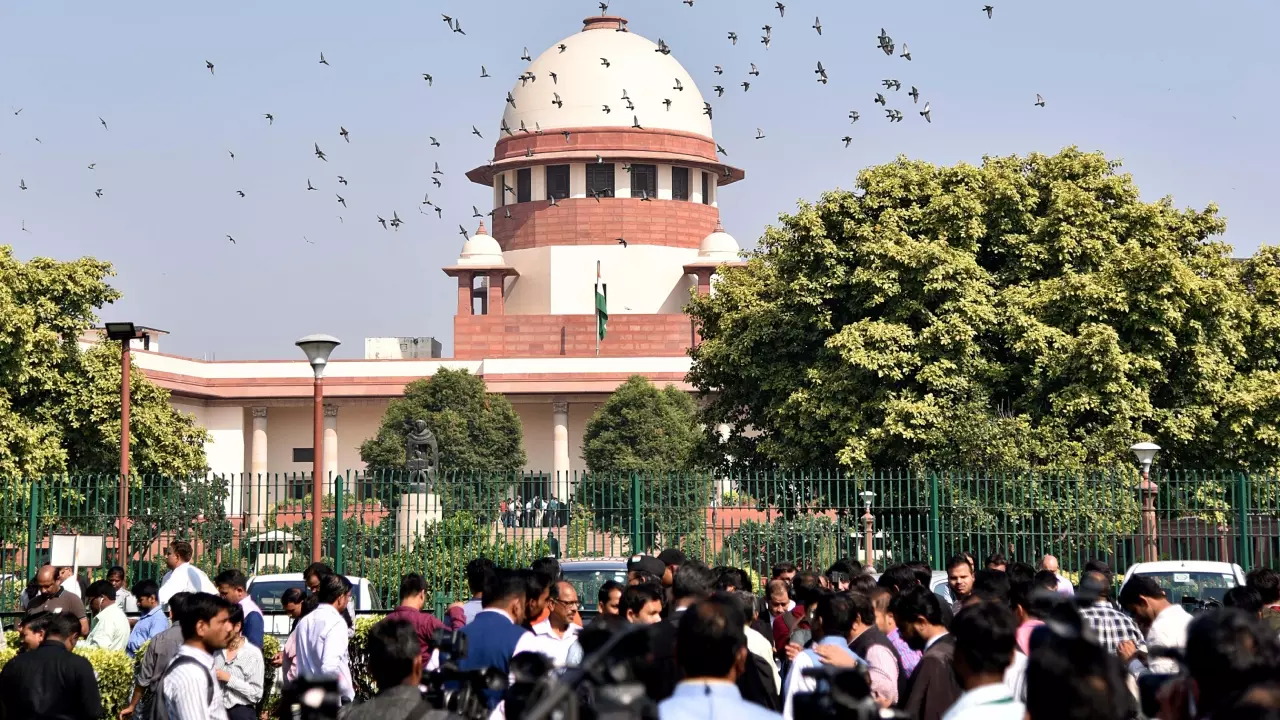 सर्विस नहीं तो टोल क्यों? केरल हाईवे जाम पर सुप्रीम कोर्ट की NHAI को फटकार, कहा - जनता के... सर्विस नहीं तो टोल क्यों? केरल हाईवे जाम पर सुप्रीम कोर्ट की NHAI को फटकार, कहा - जनता के...