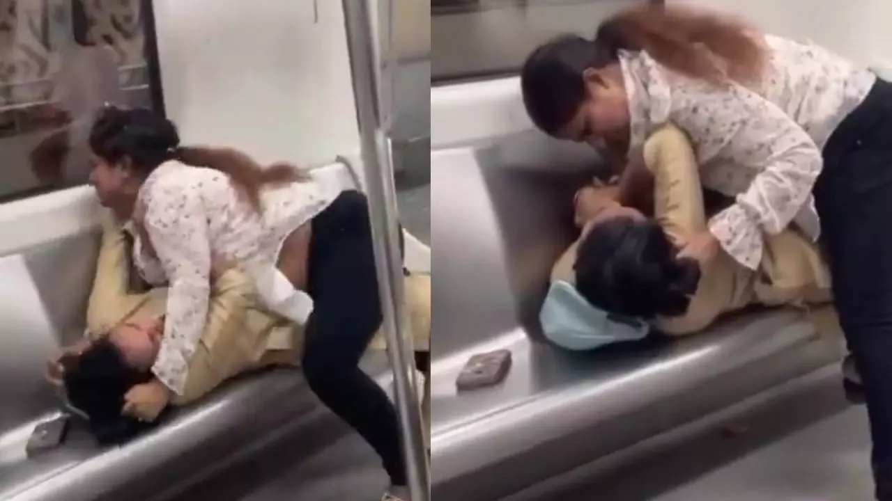 दो देवियों का क्लेश... सीट के लिए दिल्ली मेट्रो में जोरदार हाथापाई, पटका पटकी के साथ खींचे एक दूसरे के बाल