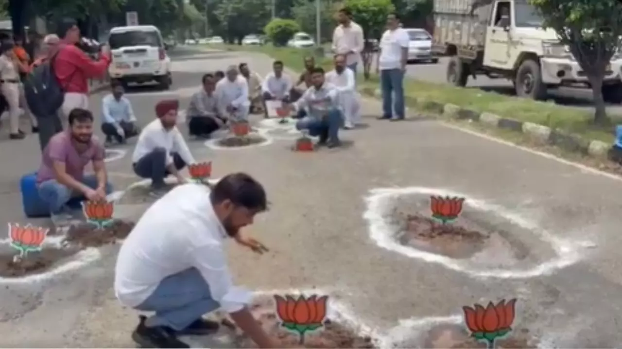 न सड़कें सुधरीं, न सरकार जागी, गड्ढों में कमल खिलाकर कांग्रेस ने चंडीगढ़ में किया अनोखा प्रदर्शन, VIDEO वायरल