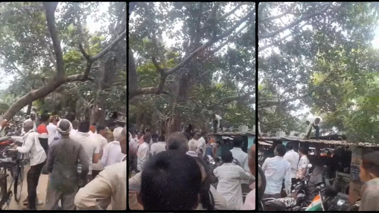 जमीन की रजिस्ट्री कराने पहुंचा शख्स, बंदर ने पैसों से भरा बैग छीन और पेड़ से बरसाने लगा नोट | VIDEO