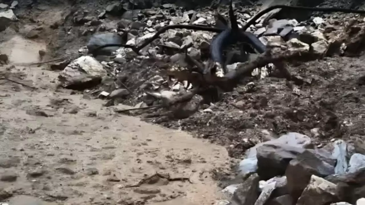 उत्तराखंड के चमोली में बादल फटने से मची तबाही, बदरीनाथ हाईवे बंद, कई लोग लापता