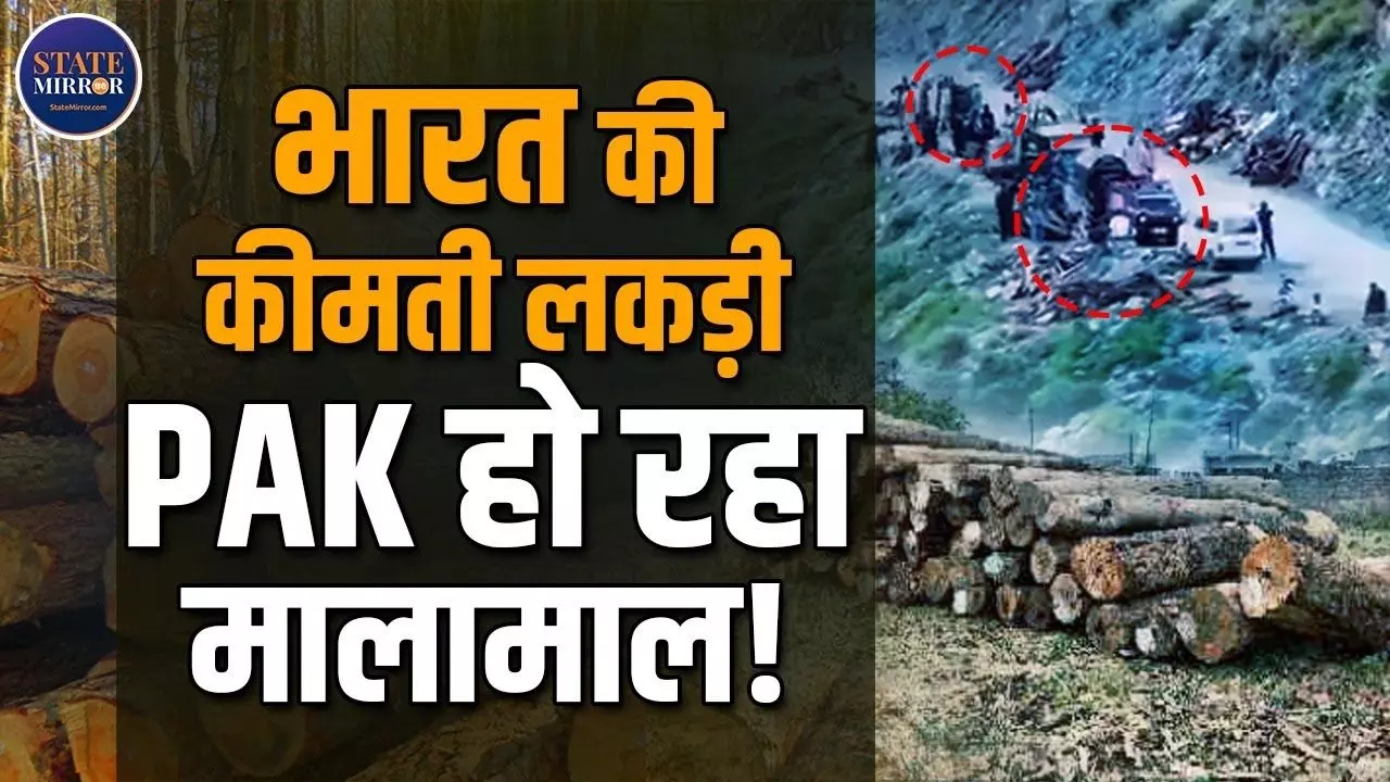 क्या सच में भारत से करोड़ों की लकड़ी पुष्पा फिल्म के जैसे पहुंच गई पाकिस्तान?  Video में जानें सच्चाई