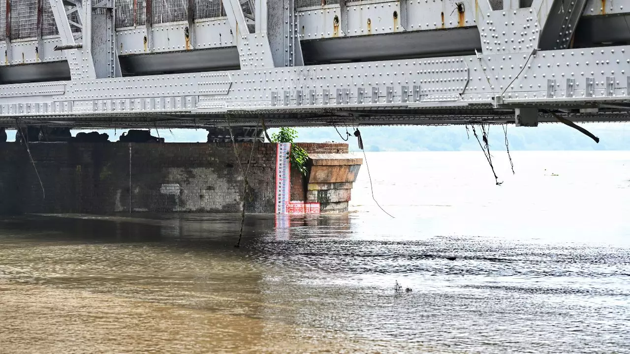 दिल्ली-NCR में बढ़ता जा रहा यमुना का जलस्तर, पंजाब में बाढ़ से बिगड़ रहे हालात, जानें कैसा रहेगा आज का मौसम दिल्ली-NCR में बढ़ता जा रहा यमुना का जलस्तर, पंजाब में बाढ़ से बिगड़ रहे हालात, जानें कैसा रहेगा आज का मौसम