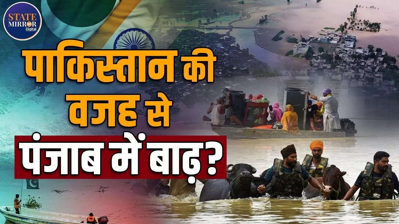 Video: क्‍या पंजाब में बाढ़ के लिए पाकिस्‍तान है जिम्‍मेदार, क्‍या है सच्‍चाई?