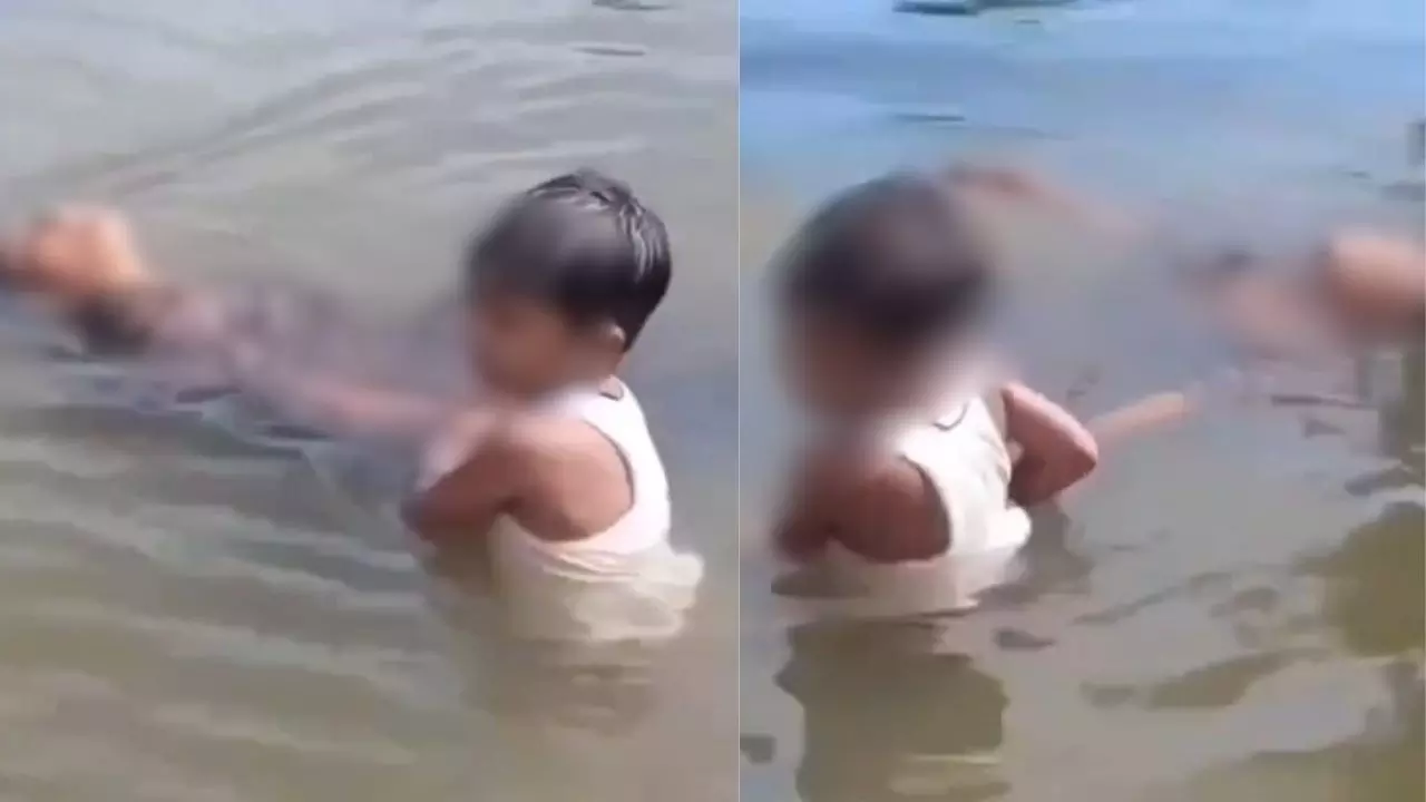 पानी से मां के शव को खींच रहा बच्चा, Viral Video पर यूजर्स ने कैमरामैन की लगाई फटकार तो वहीं किसी ने पंजाब से बताया पानी से मां के शव को खींच रहा बच्चा, Viral Video पर यूजर्स ने कैमरामैन की लगाई फटकार तो वहीं किसी ने पंजाब से बताया