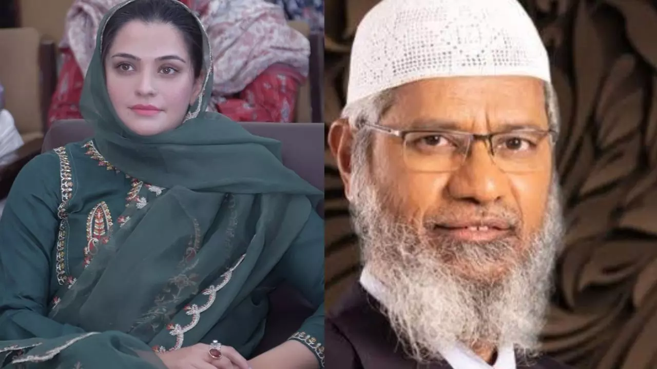 Zakir के AIDS वाले हल्ले के बीच यूजर्स को आई Farhat Naik की याद! जाकिर नाइक की पत्नी कौन? Zakir के AIDS वाले हल्ले के बीच यूजर्स को आई Farhat Naik की याद! जाकिर नाइक की पत्नी कौन?