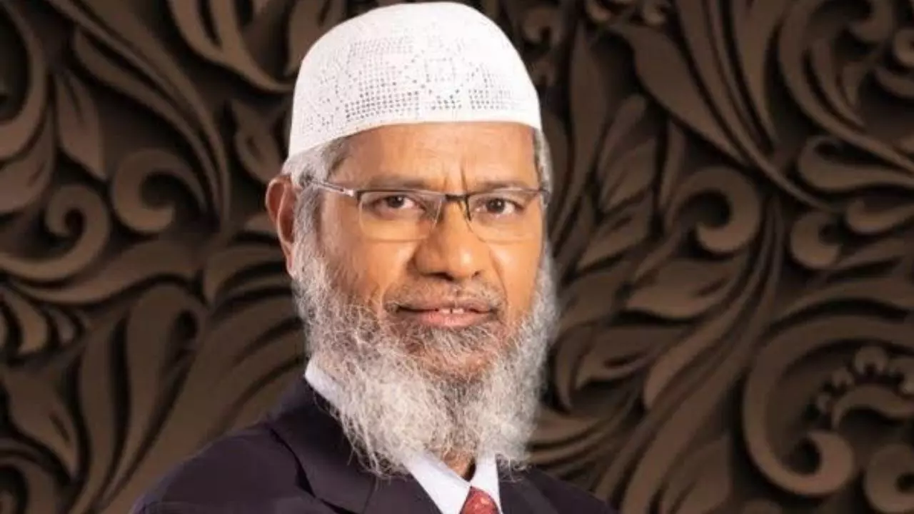 जानवर का मांस ही नहीं, मल-मूत्र भी खा- पी....; AIDS वाले हल्ले के बीच Zakir Naik का ये Video Viral, यूजर्स बोले- इसलिए...