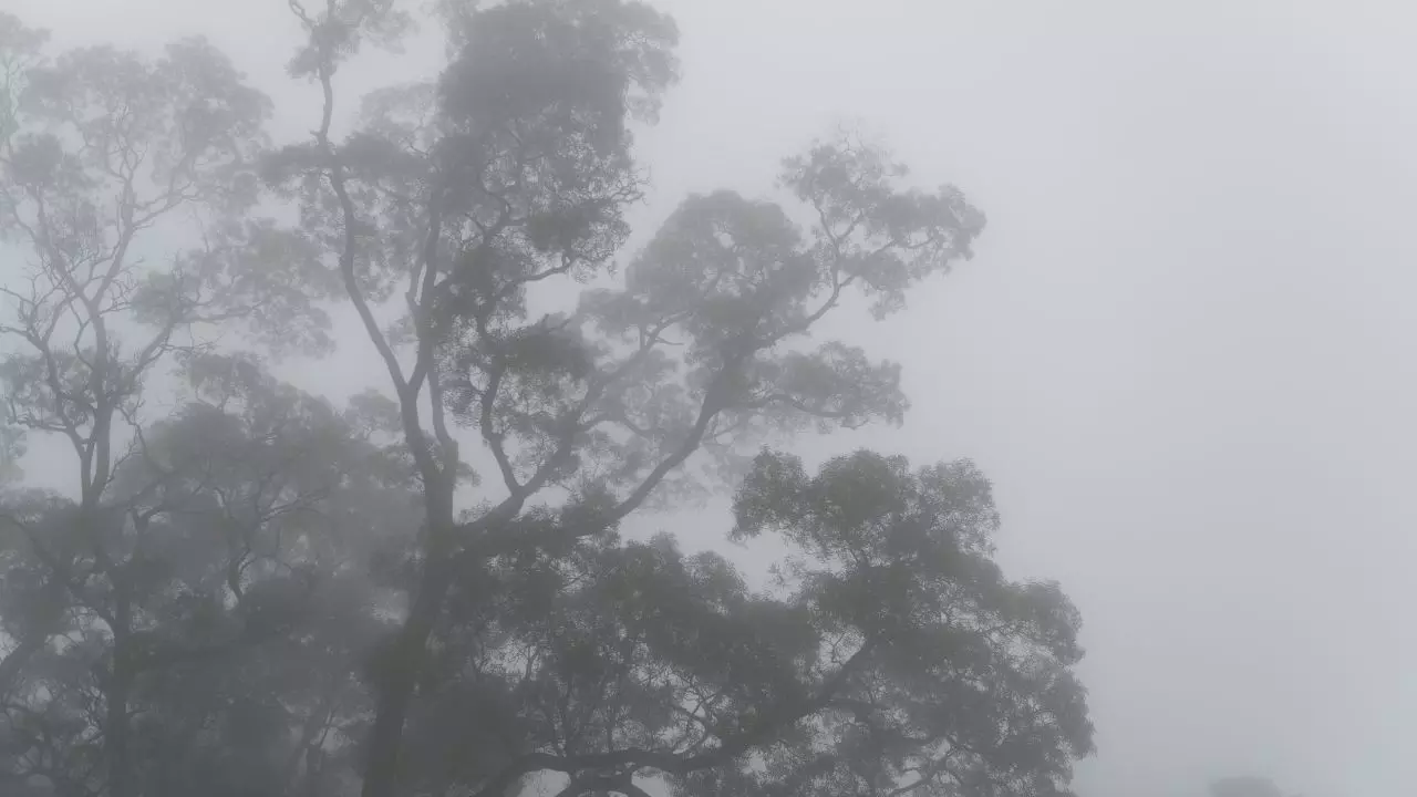 उत्तर भारत और हिमालयी राज्यों में होगी कड़ाके की ठंड, साल के अंत में लौटेगा ला नीना, वैज्ञानिकों ने क्यों किया ये दावा? उत्तर भारत और हिमालयी राज्यों में होगी कड़ाके की ठंड, साल के अंत में लौटेगा ला नीना, वैज्ञानिकों ने क्यों किया ये दावा?