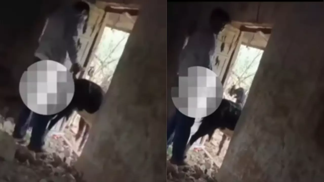 जोधपुर में बकरी के साथ रेप! शख्स को लोगों ने रंगे हाथ पकड़ा और फिर...VIDEO वायरल