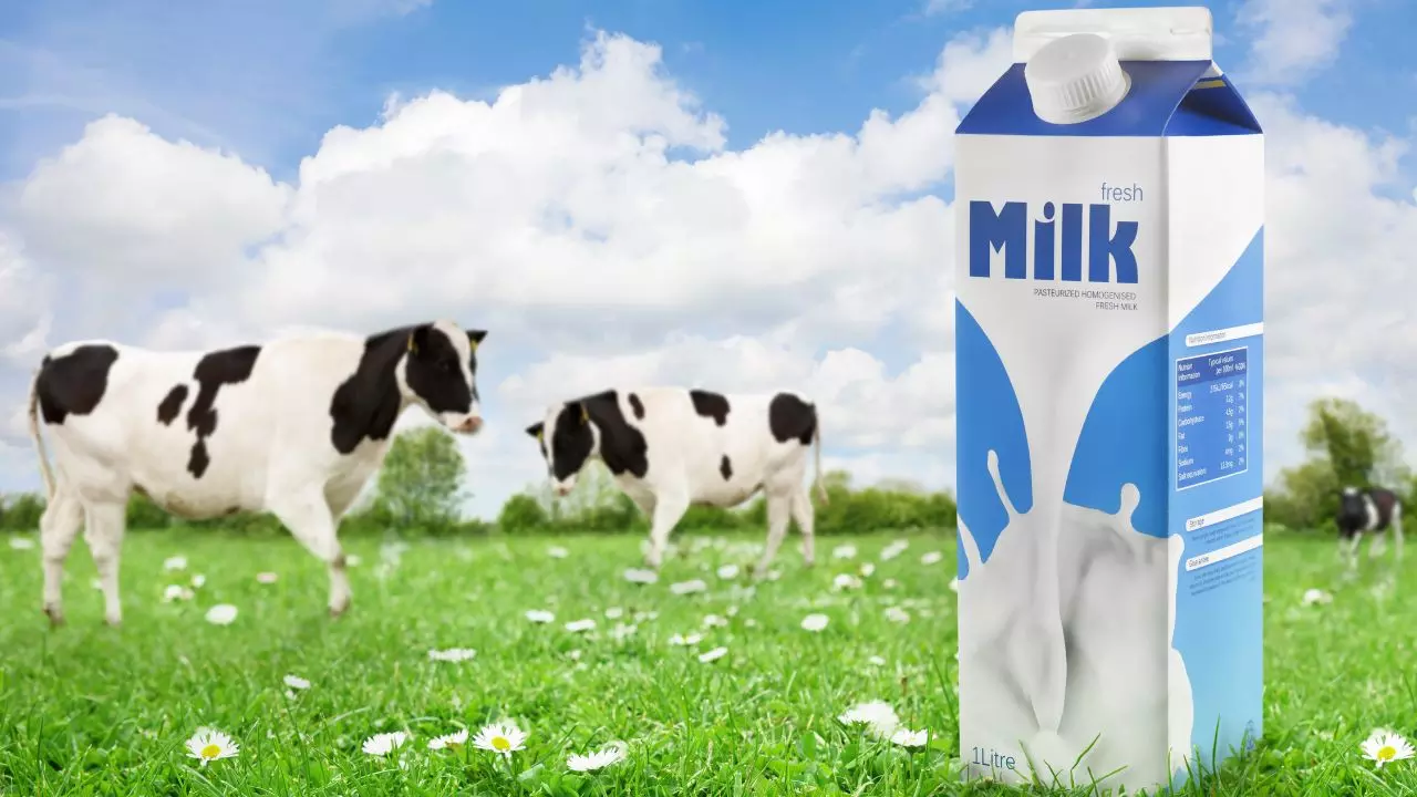 Mother Dairy ने घटाए दाम, दूध-घी-पनीर अब और सस्ते! जानें कितने के मिलेंगे अब मिल्क  प्रोडक्ट्स